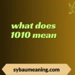 what does 1010 mean