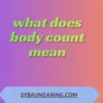 what does body count mean