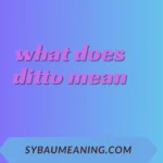 what does ditto mean