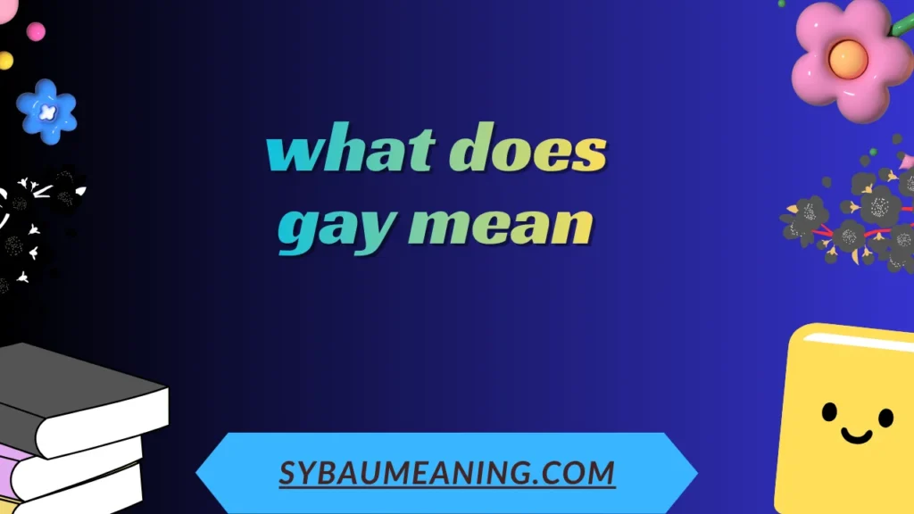 what does gay mean