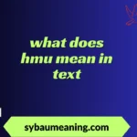 what does hmu mean in text