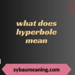 what does hyperbole mean