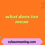 what does ion mean