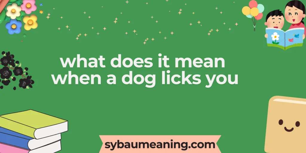 what does it mean when a dog licks you