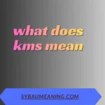what does kms mean