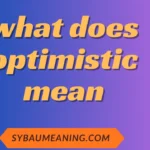 what does optimistic mean