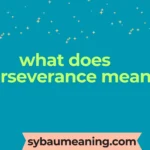 what does perseverance mean