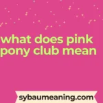 what does pink pony club mean