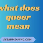 what does queer mean