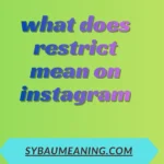 what does restrict mean on instagram