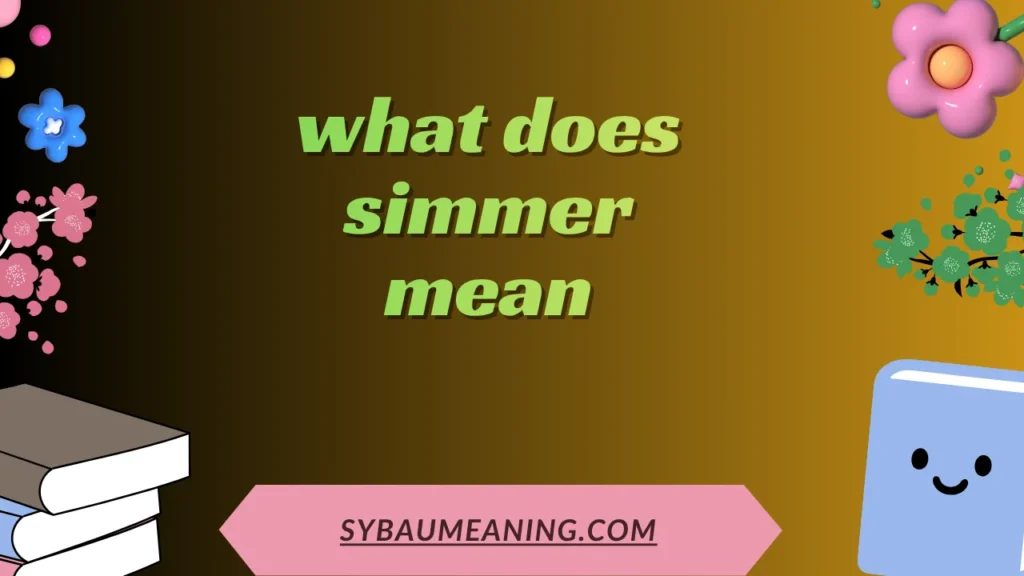 what does simmer mean