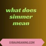 what does simmer mean