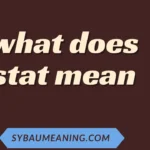what does stat mean