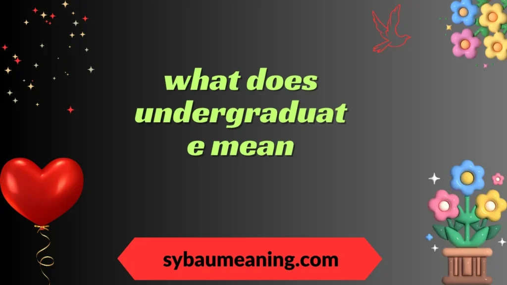 what does undergraduate mean