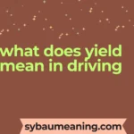 what does yield mean in driving