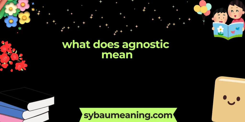 what does agnostic mean