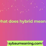 what does hybrid mean