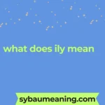 what does ily mean