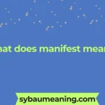 what does manifest mean