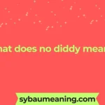 what does no diddy mean