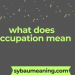 what does occupation mean