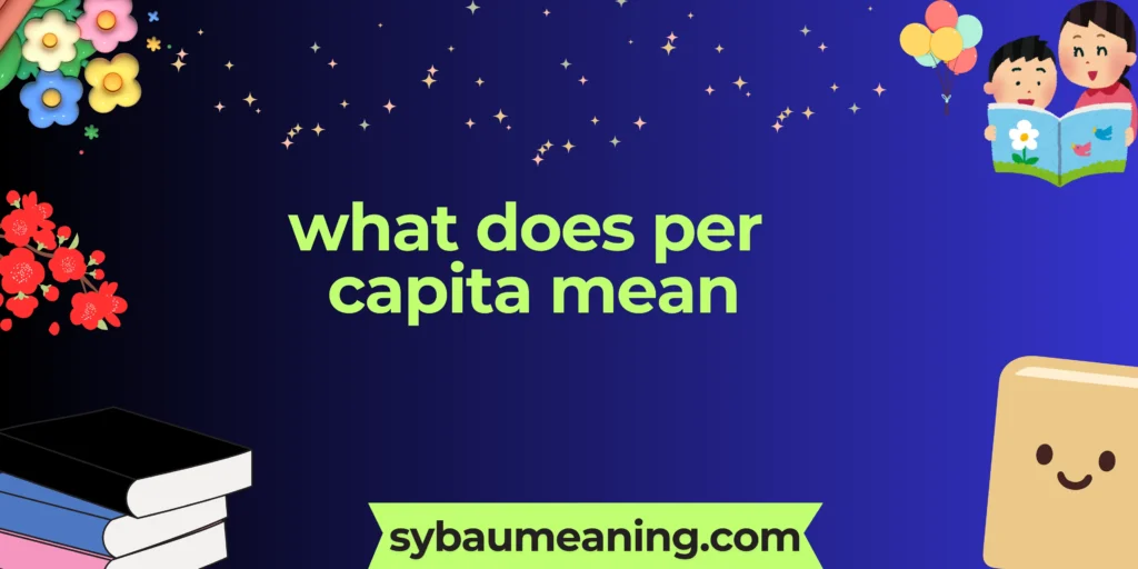 what does per capita mean