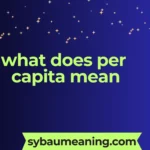 what does per capita mean