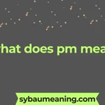 what does pm mean
