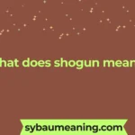 what does shogun mean