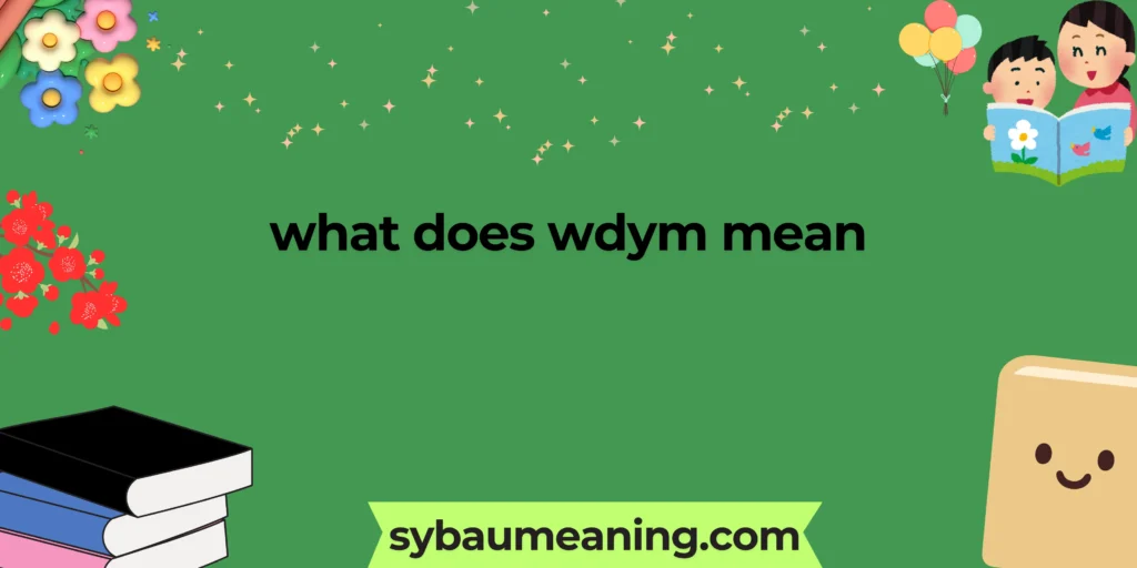 what does wdym mean
