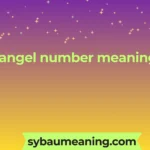1111 angel number meaning