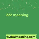 222 meaning