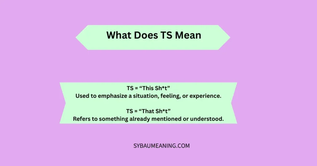 What Does TS Mean
