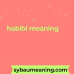 habibi meaning