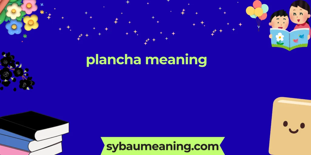 plancha meaning