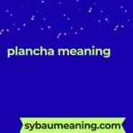 plancha meaning