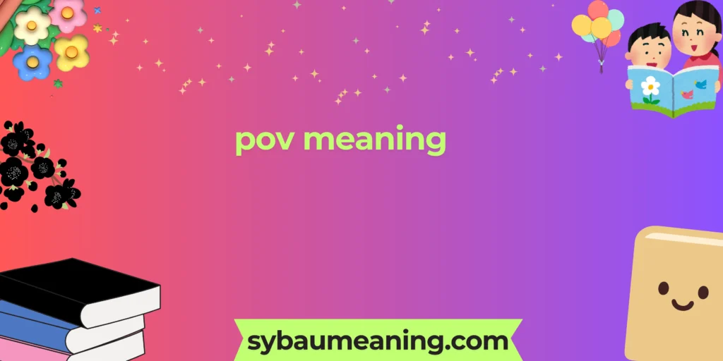 pov meaning