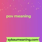 pov meaning