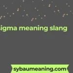 sigma meaning slang