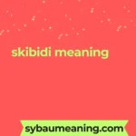 skibidi meaning