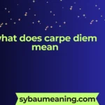 what does carpe diem mean