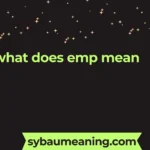 what does emp mean