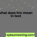 what does hm mean in text