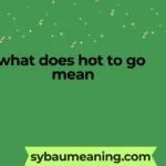 what does hot to go mean