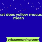 what does yellow mucus mean