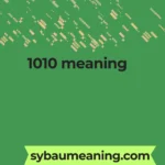 1010 meaning