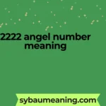 2222 angel number meaning
