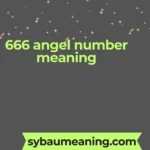 666 angel number meaning