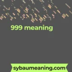 999 meaning