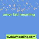 amor fati meaning